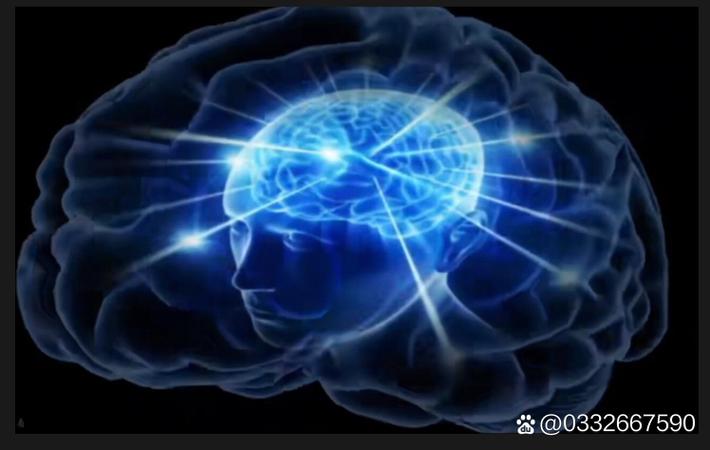 顶流偶像组合宣布解散，成员各奔东西